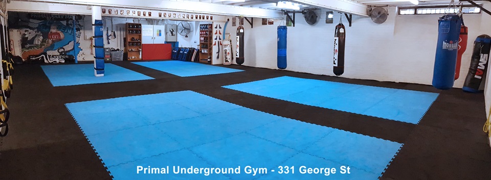 Primal Underground Gym